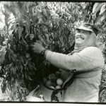 Puerto Rican Peach Farmer