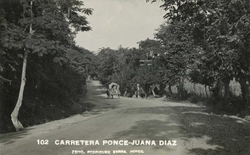 road - PonceJuanaDiaz.jpg