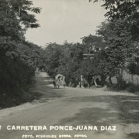 road - PonceJuanaDiaz.jpg