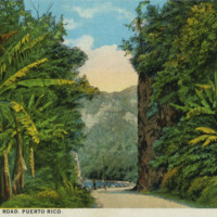 road-AreciboPonce.jpg