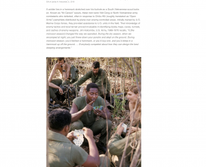 Screenshot of "More Than Self: Living the Vietnam War" Exhibit. Atlanta History Museum Website.